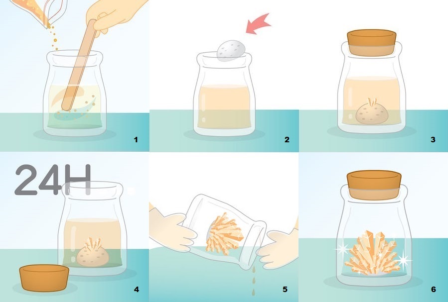 GT-Crystal-Wish-Flower-Guide-1